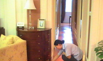 大連泉水家政 鐘點工 做飯收拾家 保姆 保潔服務