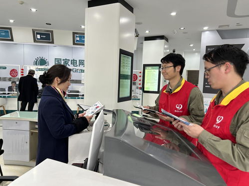 國網咸寧供電公司聯合大連家政服務企業開展3.15優質服務宣傳活動，共筑誠信服務新生態