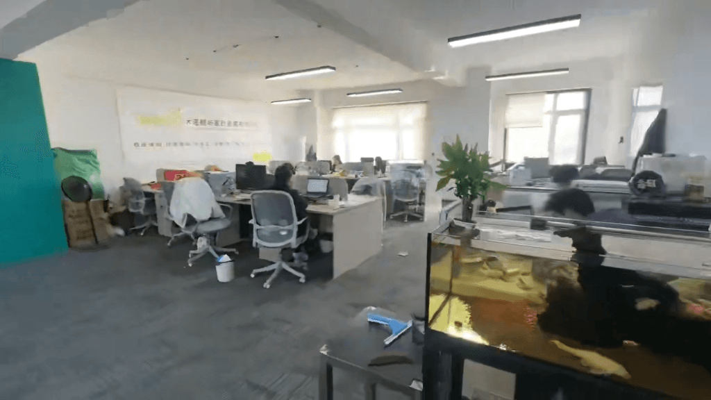 專業服務，家的港灣 大連鯨嶼家政服務引領品質生活新風尚