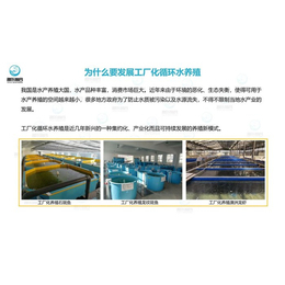 智慧農研 高效環保養魚新標桿，引領現代漁業綠色轉型